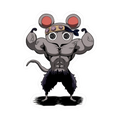 DS-3